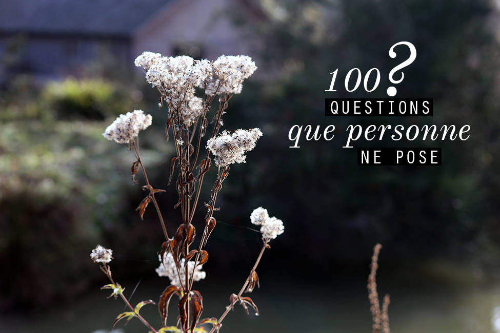 tag 100 questions que personne ne pose